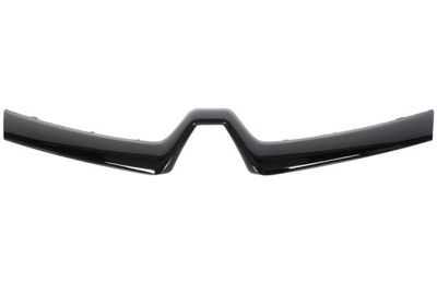 Trim/Protection Strip, radiator grille BLIC 6502-07-6009995Q