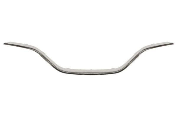 BLIC 6502-07-6012992P Trim/Protection Strip, radiator grille