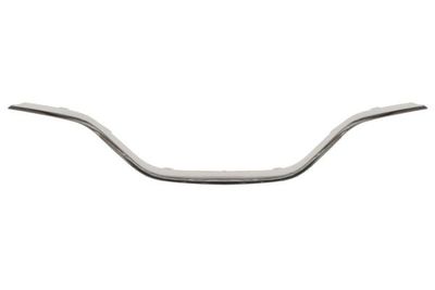 Trim/Protection Strip, radiator grille BLIC 6502-07-6012992P