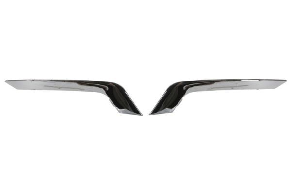BLIC 6502-07-6013970P Trim/Protection Strip, bumper
