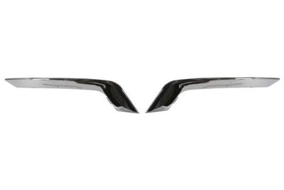 Trim/Protection Strip, bumper BLIC 6502-07-6013970P