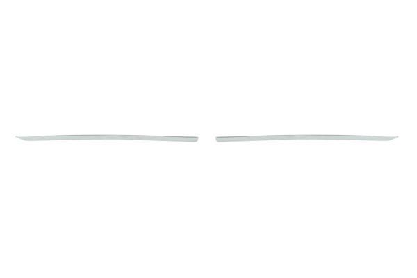 BLIC 6502-07-6029991P Trim/Protection Strip, radiator grille