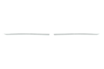 Trim/Protection Strip, radiator grille BLIC 6502-07-6029991P
