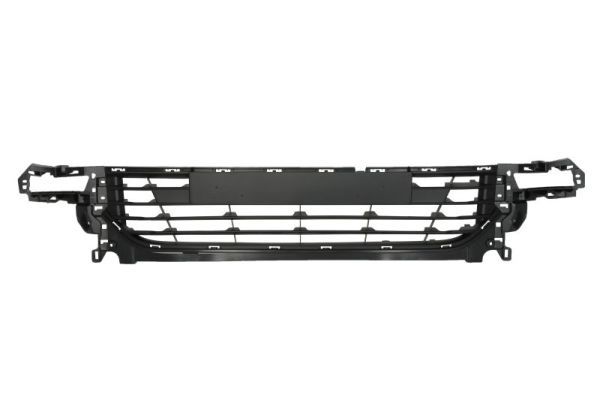 BLIC 6502-07-6033911Q Ventilation Grille, bumper