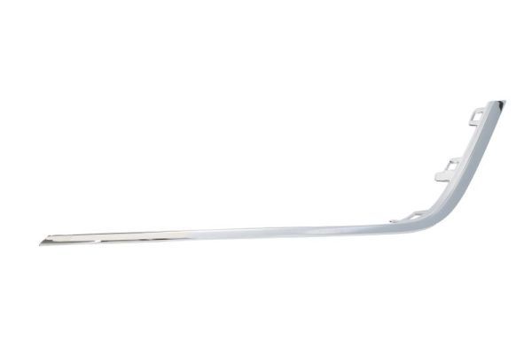 BLIC 6502-07-6044995P Trim/Protection Strip, bumper