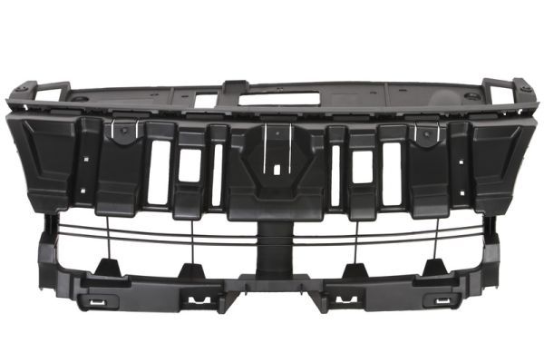 BLIC 6502-07-6046992P Radiator Grille