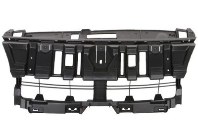 Radiator Grille BLIC 6502-07-6046992P