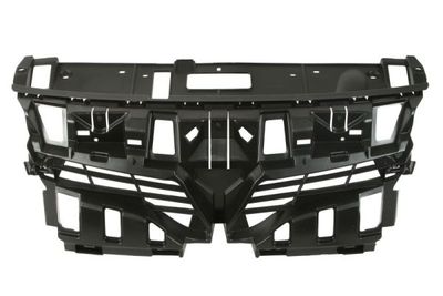 Radiator Grille BLIC 6502-07-6046994P