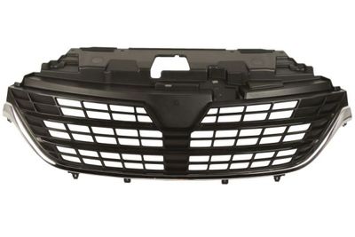 Radiator Grille BLIC 6502-07-6063994P