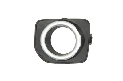 Ventilation Grille, bumper BLIC 6502-07-6490913P