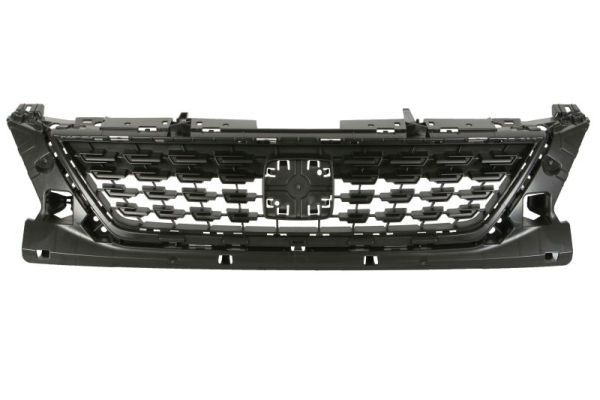 BLIC 6502-07-6619990Q Radiator Grille