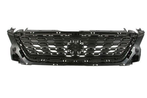BLIC 6502-07-6623990Q Radiator Grille