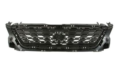 Radiator Grille BLIC 6502-07-6623990Q