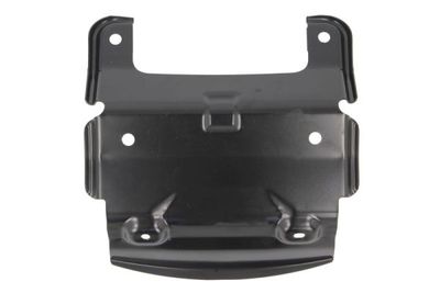 Radiator Grille BLIC 6502-07-6741910P