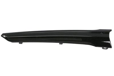 Trim/Protection Strip, radiator grille BLIC 6502-07-6747995P