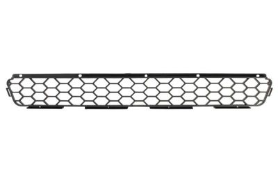 Radiator Grille BLIC 6502-07-6811990P