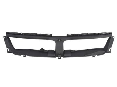 Radiator Grille BLIC 6502-07-6825991P