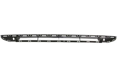 Radiator Grille BLIC 6502-07-6904993P