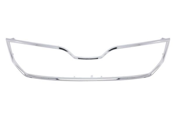 BLIC 6502-07-7515996Q Trim/Protection Strip, radiator grille