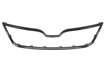 Trim/Protection Strip, radiator grille BLIC 6502-07-7516992P