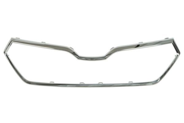 BLIC 6502-07-7517993P Trim/Protection Strip, radiator grille