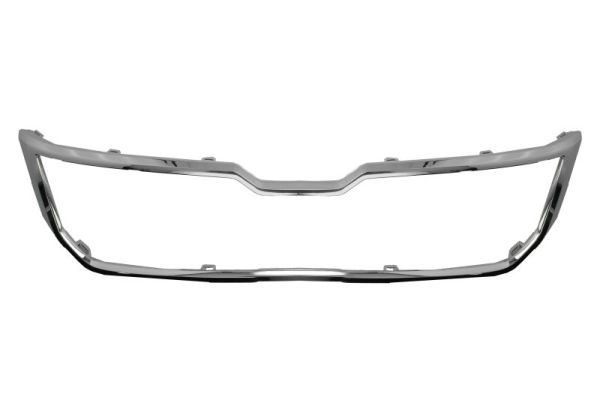 BLIC 6502-07-7528994P Trim/Protection Strip, radiator grille