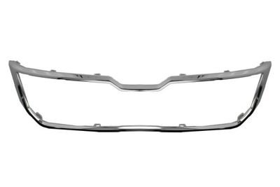Trim/Protection Strip, radiator grille BLIC 6502-07-7528994P