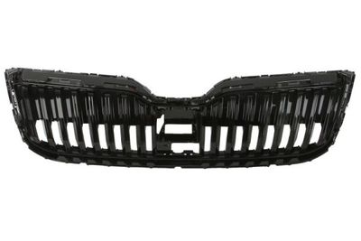 Radiator Grille BLIC 6502-07-7530990P