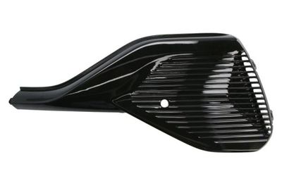 Ventilation Grille, bumper BLIC 6502-07-7900911P