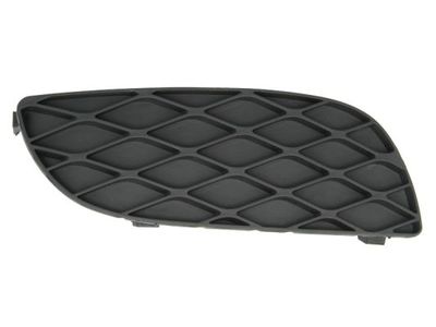 Ventilation Grilles, bumper BLIC 6502-07-8109916P