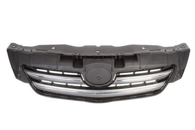 Radiator Grille BLIC 6502-07-8116995P