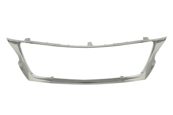 BLIC 6502-07-8121993P Trim/Protection Strip, radiator grille