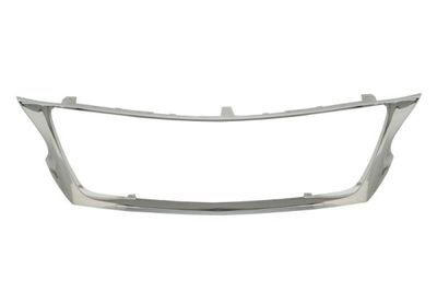 Trim/Protection Strip, radiator grille BLIC 6502-07-8121993P