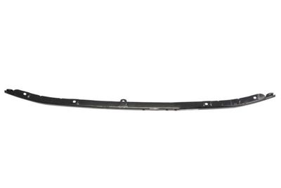 Trim/Protection Strip, radiator grille BLIC 6502-07-8125990P