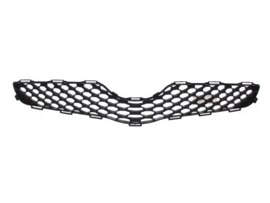 BLIC 6502-07-8155992P Radiator Grille