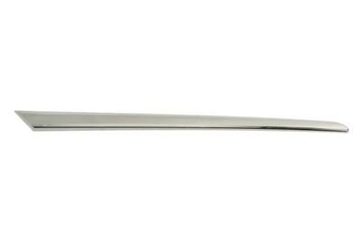 Trim/Protection Strip, bumper BLIC 6502-07-8156924P