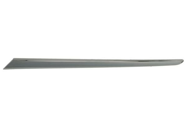 BLIC 6502-07-8156935P Trim/Protection Strip, bumper
