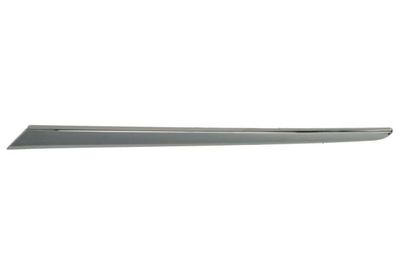 Trim/Protection Strip, bumper BLIC 6502-07-8156935P