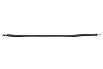 Trim/Protection Strip, bumper BLIC 6502-07-8167926P