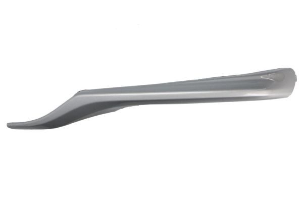 BLIC 6502-07-8167928P Trim/Protection Strip, bumper