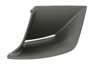 Ventilation Grille, bumper BLIC 6502-07-8171919P