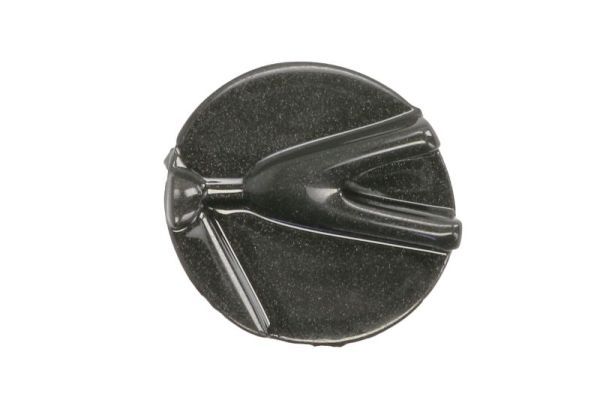 BLIC 6502-07-8171921P Ventilation Grille, bumper