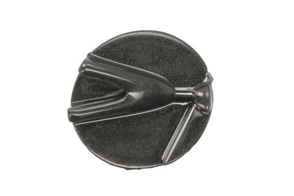 BLIC 6502-07-8171924P Ventilation Grille, bumper