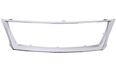 Trim/Protection Strip, radiator grille BLIC 6502-07-8171993P