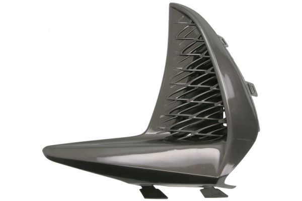 BLIC 6502-07-8173911P Ventilation Grille, bumper