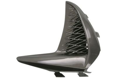 Ventilation Grille, bumper BLIC 6502-07-8173911P