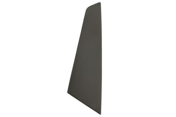 BLIC 6502-07-8173913P Trim/Protection Strip, bumper