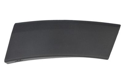 Trim/Protection Strip, bumper BLIC 6502-07-8178971P