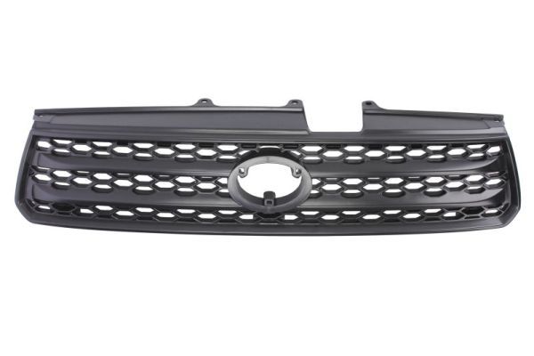 BLIC 6502-07-8179993P Radiator Grille