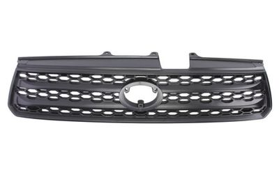 Radiator Grille BLIC 6502-07-8179993P